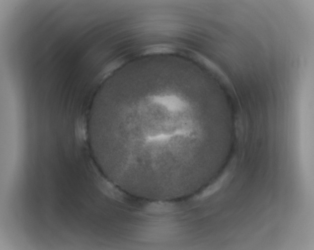 X0000113880929200909241349