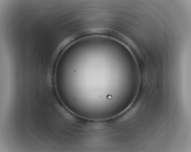 X0000113880930200909241349