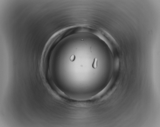 X0000113880932200909241349