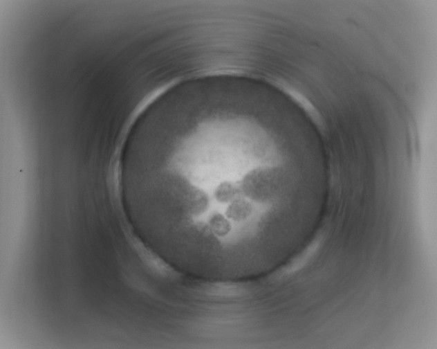X0000113880933200909241349