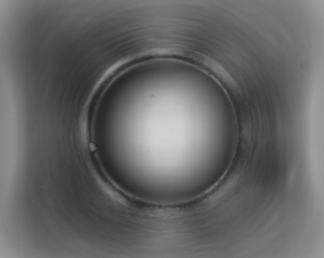 X0000113880934200909241349