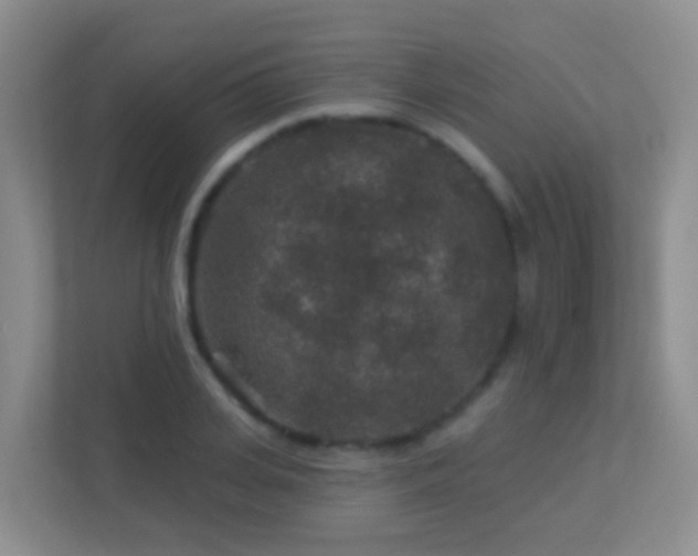 X0000113880935200909241349