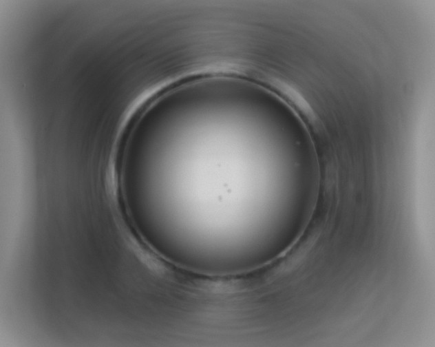 X0000113880936200909241349