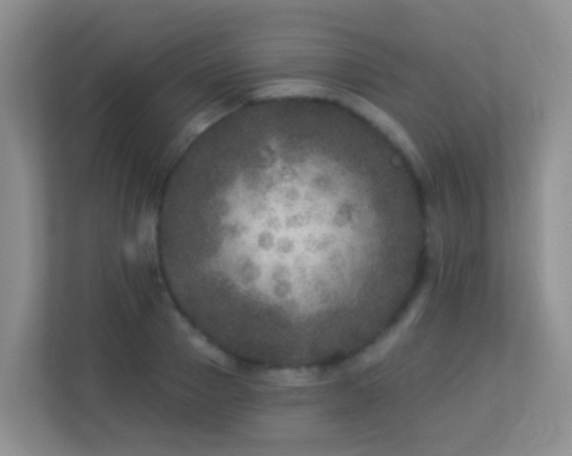 X0000113880937200909241349