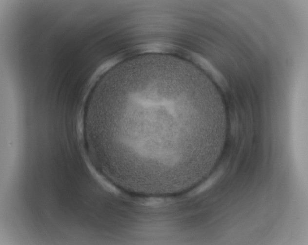 X0000113880938200909241349