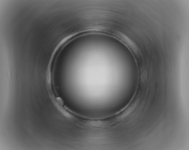 X0000113880940200909241349