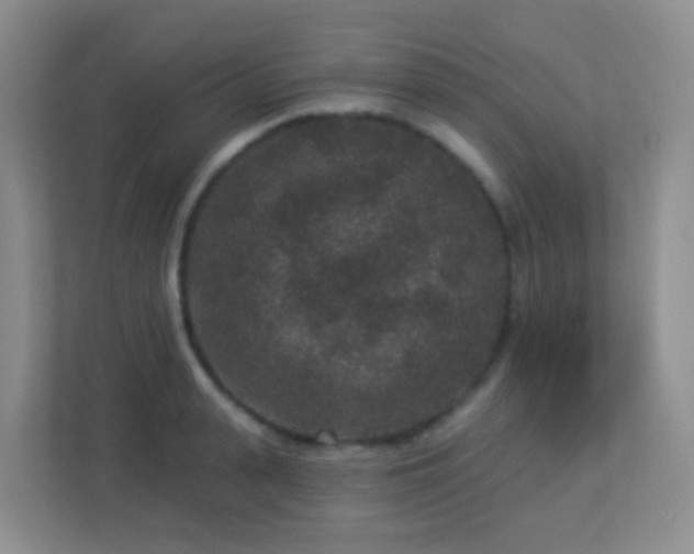 X0000113880943200909241349
