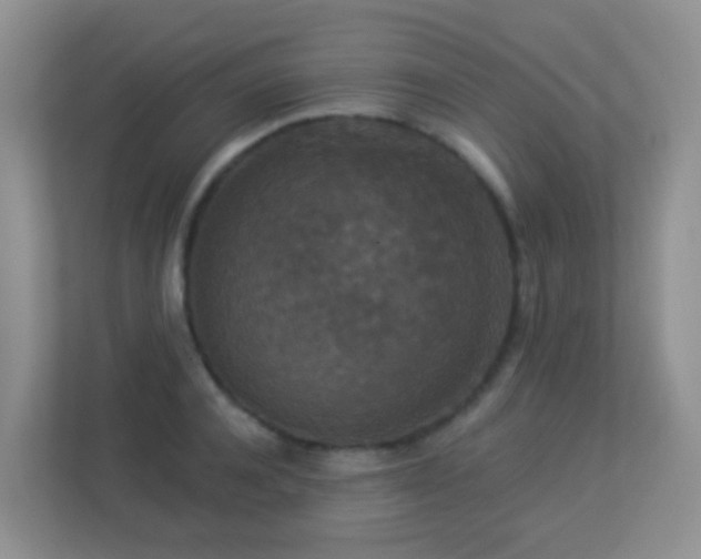 X0000113880944200909241349