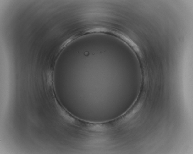 X0000113880945200909241349