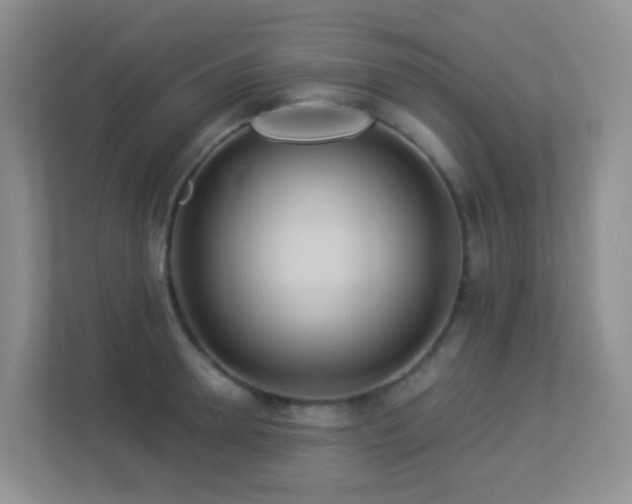 X0000113880946200909241349