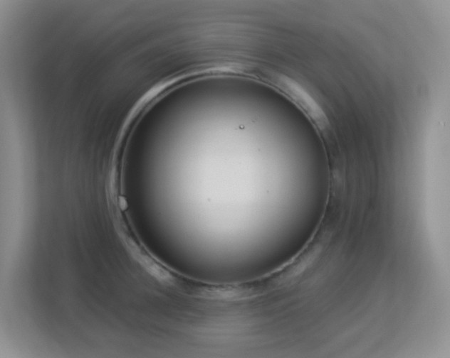X0000113880948200909241349