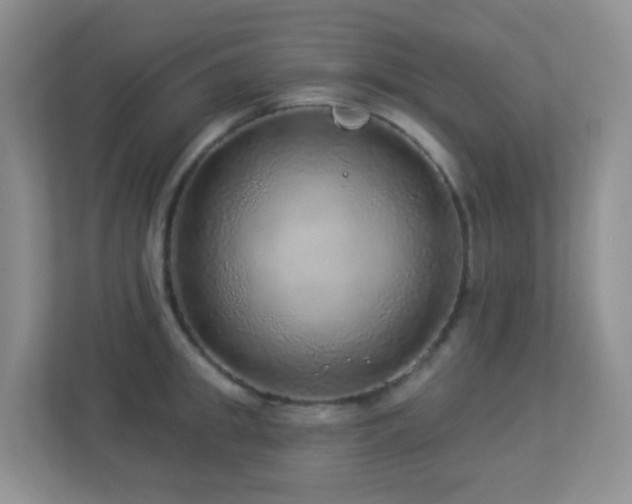 X0000113880949200909241349