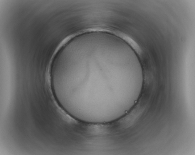 X0000113880950200909241349