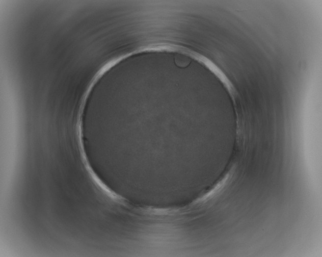 X0000113880951200909241349