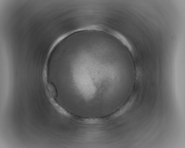 X0000113880952200909241349