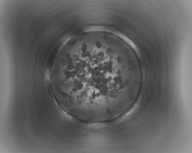 X0000113880953200909241349