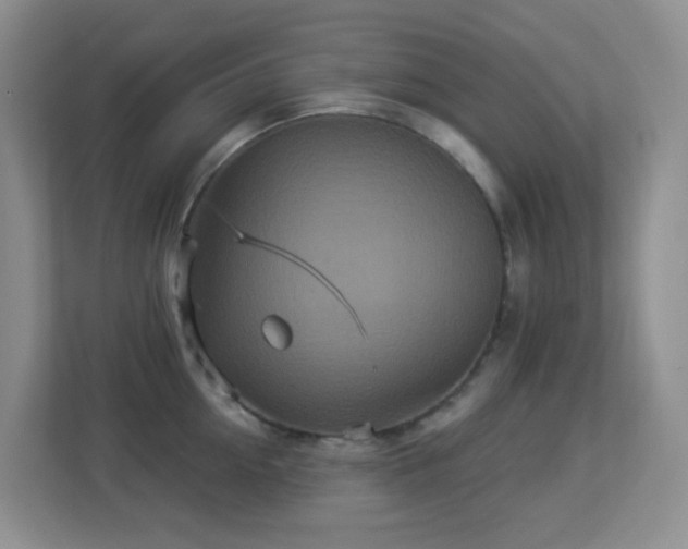 X0000113880954200909241349