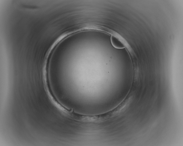 X0000113880955200909241349