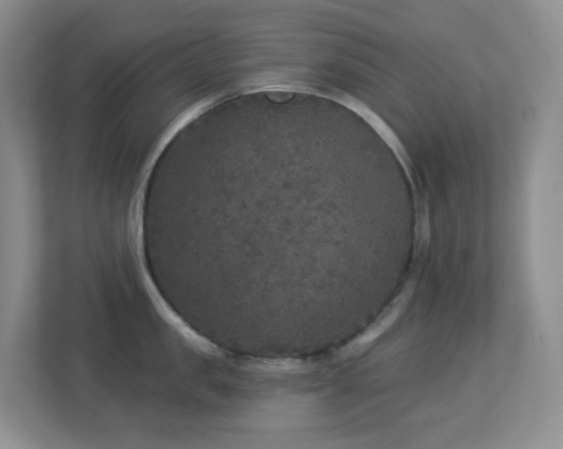 X0000113880957200909241349