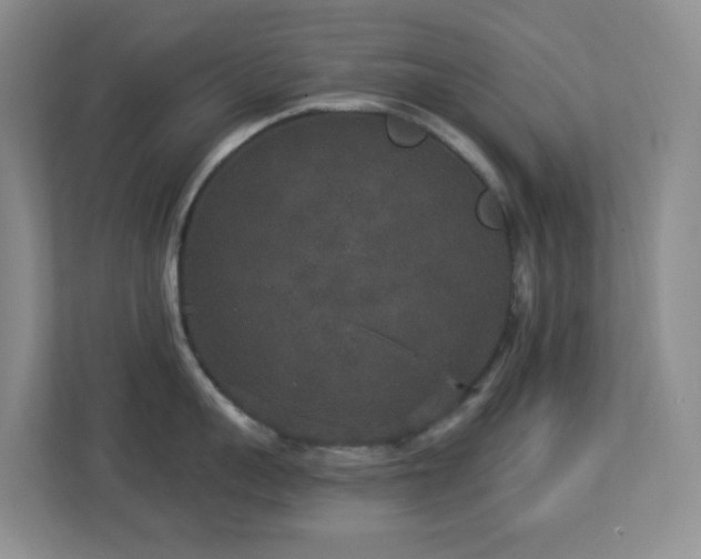 X0000113880959200909241350
