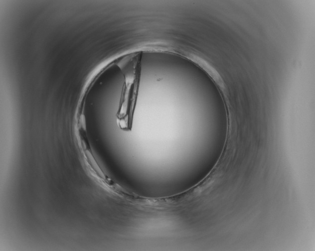 X0000113880960200909241350
