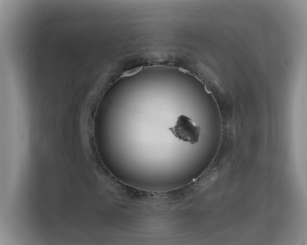 X0000113880961200909241349
