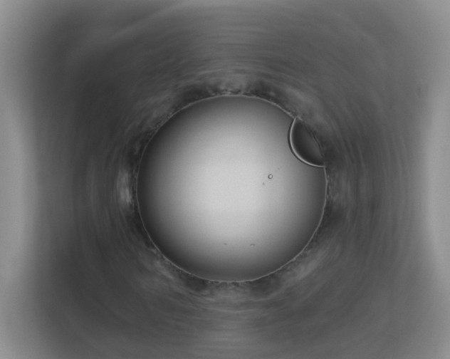 X0000113880962200909241349