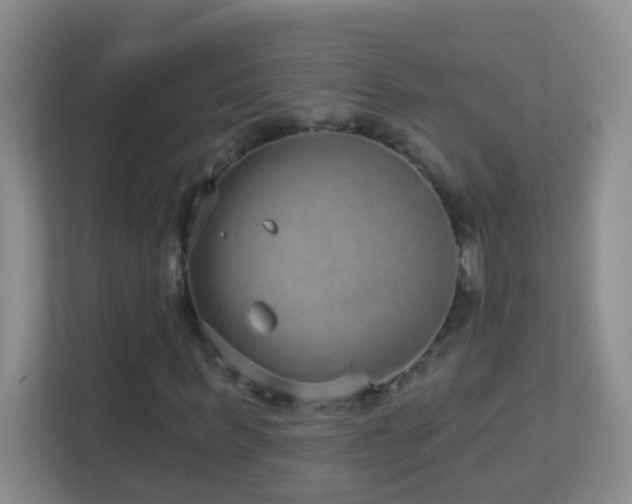 X0000113880963200909241349