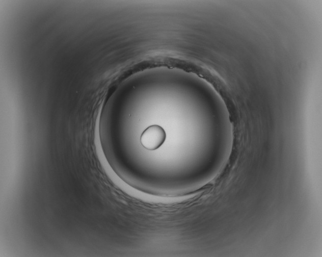 X0000113880965200909241349