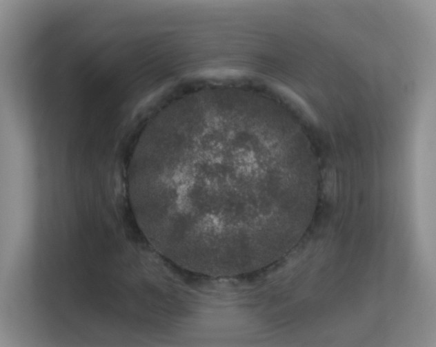 X0000113880966200909241349