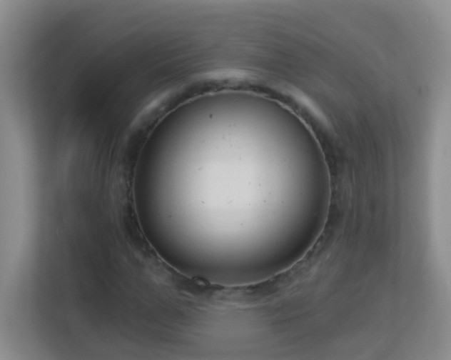 X0000113880967200909241349