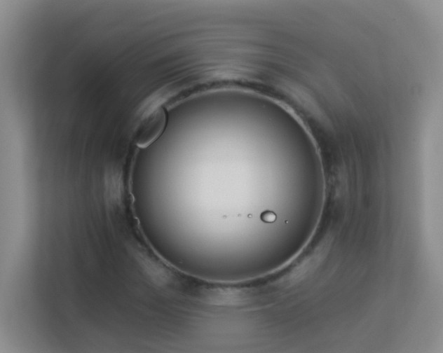 X0000113880969200909241349