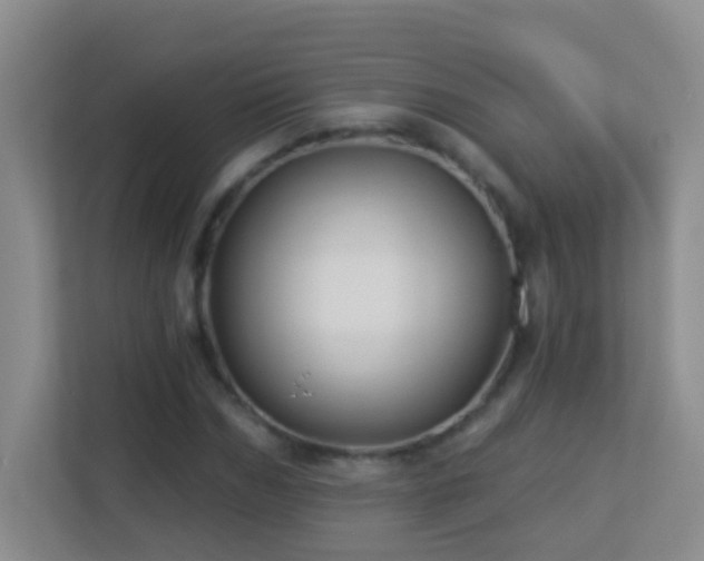 X0000113880970200909241349