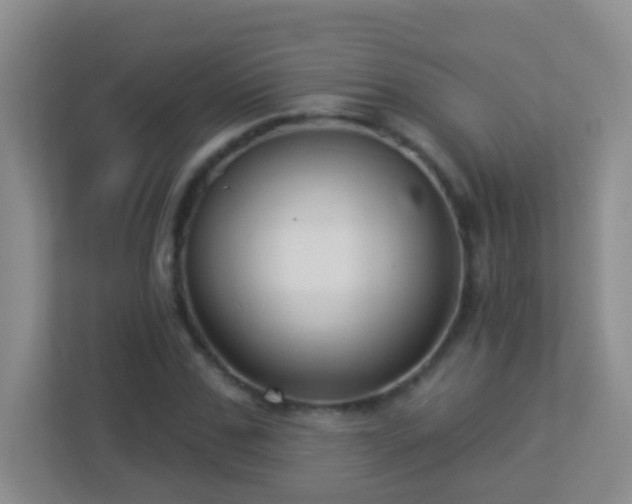 X0000113880971200909241349