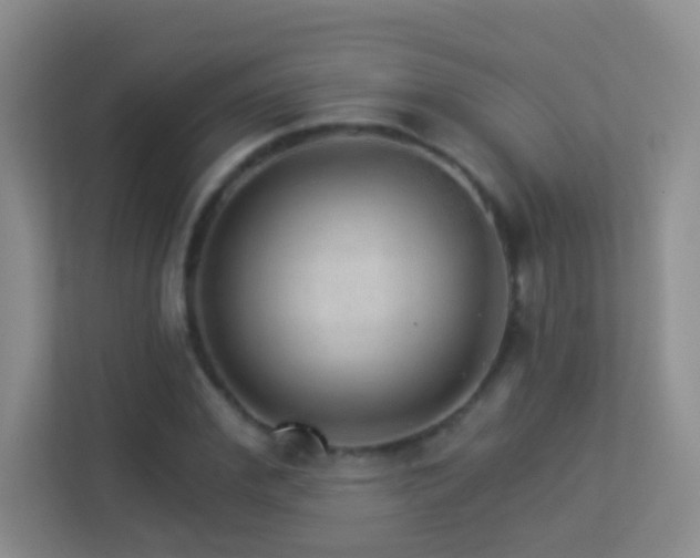 X0000113880972200909241349