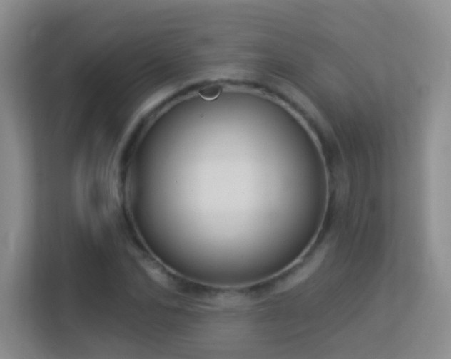 X0000113880974200909241349