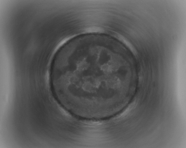 X0000113880975200909241349