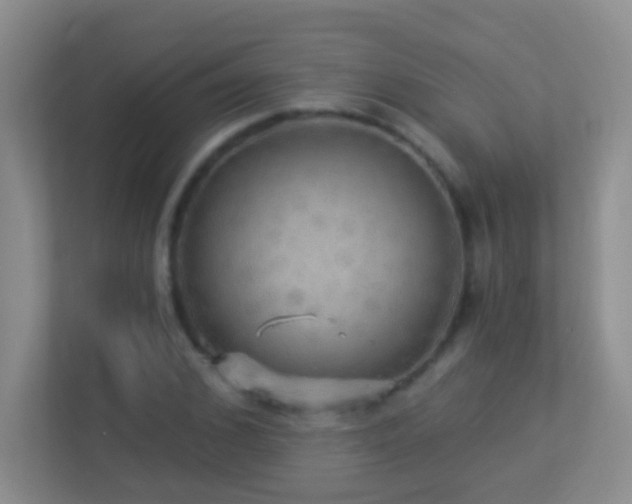 X0000113880976200909241349