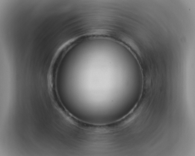 X0000113880979200909241349