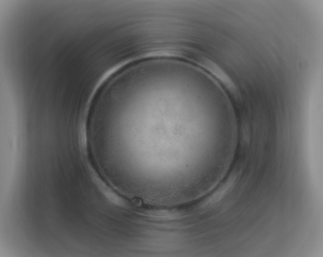 X0000113880980200909241349
