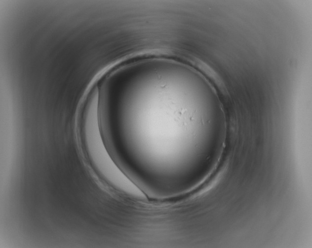 X0000113880981200909241349
