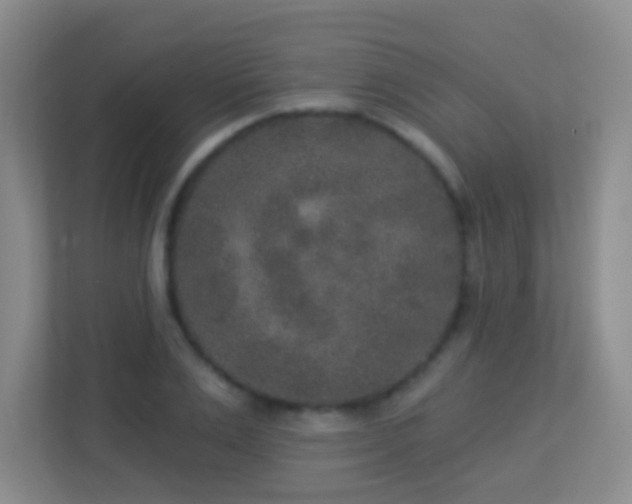 X0000113880983200909241349
