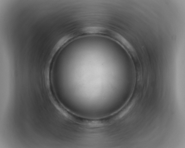 X0000113880986200909241349