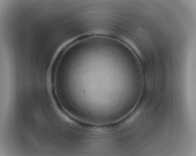 X0000113880987200909241349