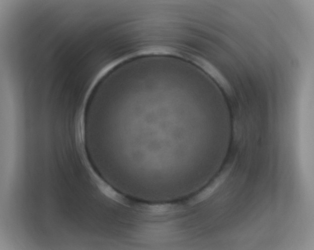 X0000113880988200909241349