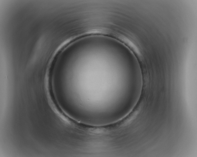 X0000113880991200909241349