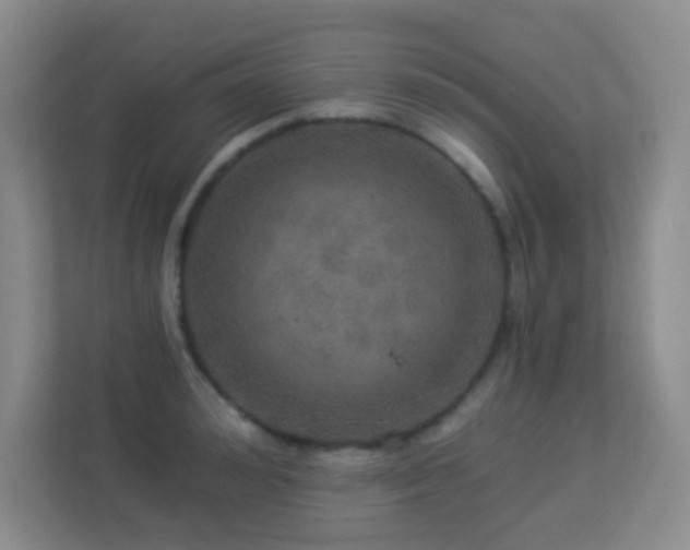 X0000113880992200909241348