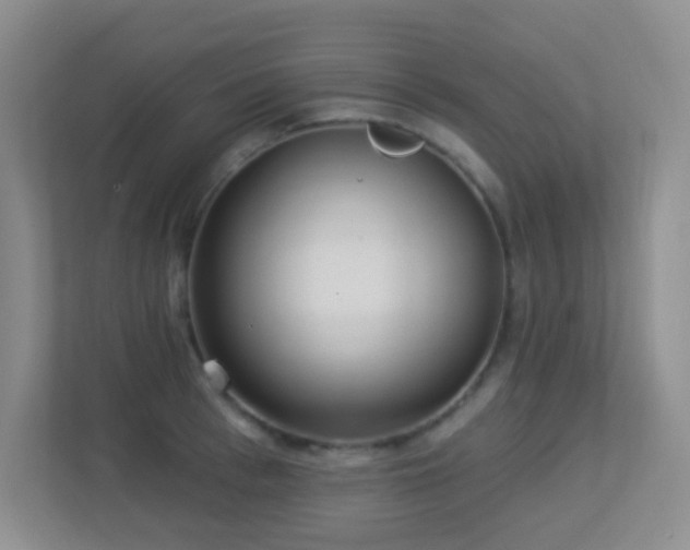 X0000113880993200909241348