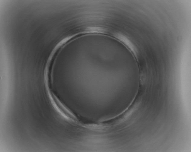 X0000113880995200909241348