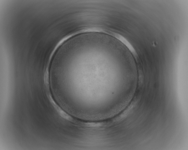 X0000113880996200909241348